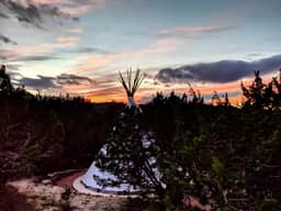*El Arbol