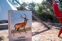 *El Venado