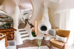 The Bloomhouse